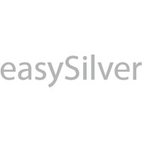 Easy Silver Srl Logo