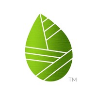 Everyday Life Consulting Logo