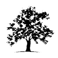 White Oak UK Logo