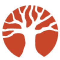 OPEN International Logo