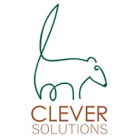 Clever Solutions (Costa Rica) Logo