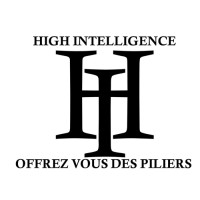 HIGH INTELLIGENCE SARL Logo