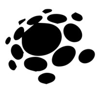 Brainsparq Inc. Logo