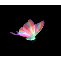 LUMA Projection Arts Festival Logo