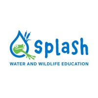 Sacramento Splash Logo