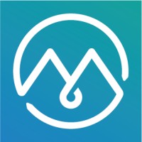 IDM FRANCE Logo
