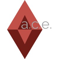 Audit. Consulting. Education. LLC Logo