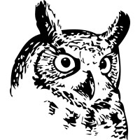 Night Owl Recording LLC Logo