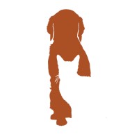 Texas Coalition for Animal Protection Logo