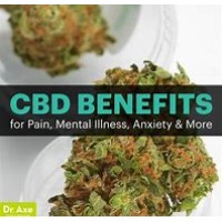 Blue Stone Holistics- Distributor of CBD products Logo