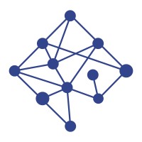 Network Perspective Logo