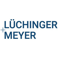 Dr. Lüchinger+Meyer Bauingenieure AG Logo
