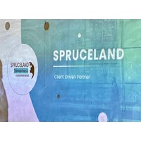 Spruceland Technologies Group Limited Logo