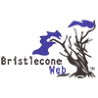 Bristlecone Web Logo