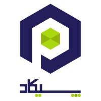 Pikad Fintech Group Logo