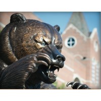 Mercer Universitys Ph.D. Programs of the Tift College of Education Logo