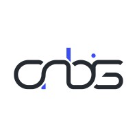 Orbis Software Benelux BV Logo