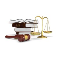 servicios y asesorias Logo