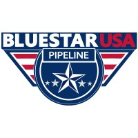 Bluestar USA , Inc. Logo