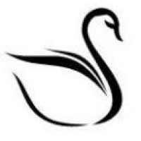 Black Swan Advisors LLC Logo