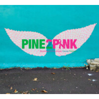 Pine2Pink Foundation 501 (c)(3) Logo