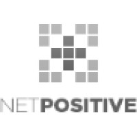 Netpositive Kft. Logo