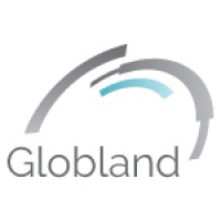 Globland - DX Consulting Services Logo