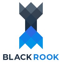 Black Rook Software Private Limited Logo