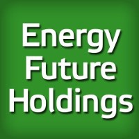 Energy Future Holdings Logo