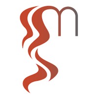 MANEreviews.com Logo