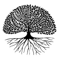 Insertus Business Club Logo