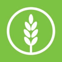 NeoLife IT Logo