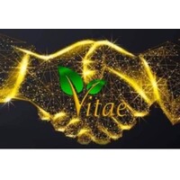 Vitae Social Network Rewarded Logo