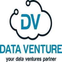 Data Venture Solutions Logo