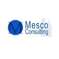 Mesco Consulting Ltd Logo