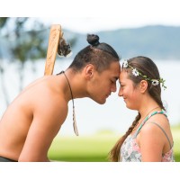 Twin Coast Discovery Tours New Zealand Logo