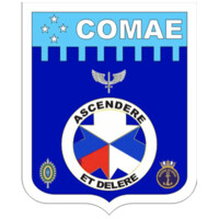 Comando de Operações Aeroespaciais - COMAE Logo