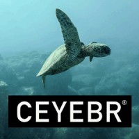CEYEBR Logo
