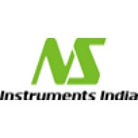NS INSTRUMENTS INDIA PRIVATE LIMITED Logo