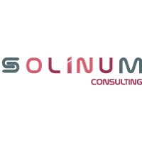 Solinum Consulting Logo