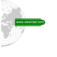 Worldwide Energy Services, Inc. Logo