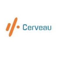 Cerveau Logo