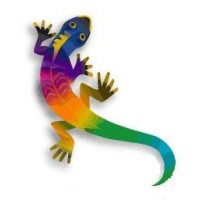 Chameleon Resumes - Executive Resume Writing Service & Job Landing Consulting Logo