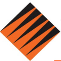 TigerTeam Capital Humano Logo