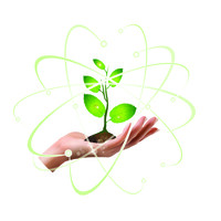 True Awakenings Logo