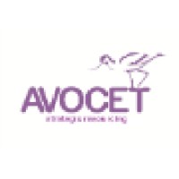 Avocet Strategic Resourcing Logo