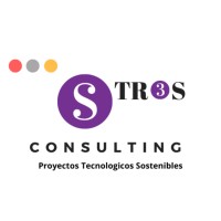 S3 CONSULTING SAS Logo