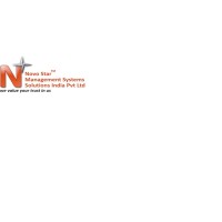Novo Star Management Systems Solutions India Pvt. Ltd Logo