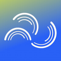 Chief Disruptor Logo