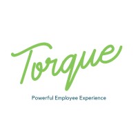 Torque Solutions Logo